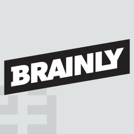Brainly 1